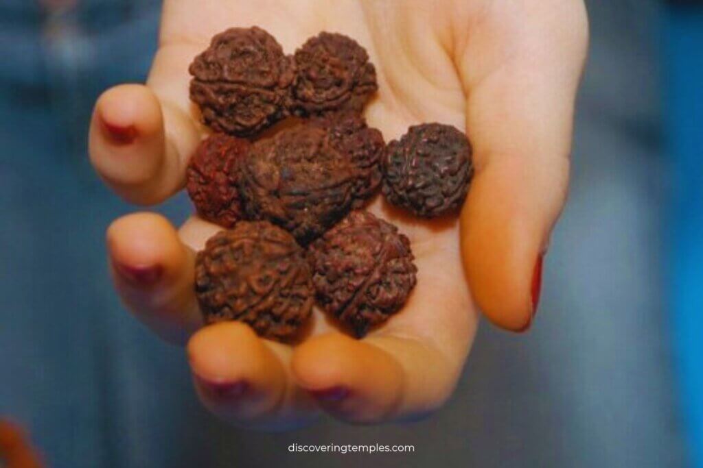 Rudraksha - how to worship god shiva - how to worship shiva - how to worship lord shiva - shiva devotee - shiva worship - shiva bhakt - how to pray god shiva